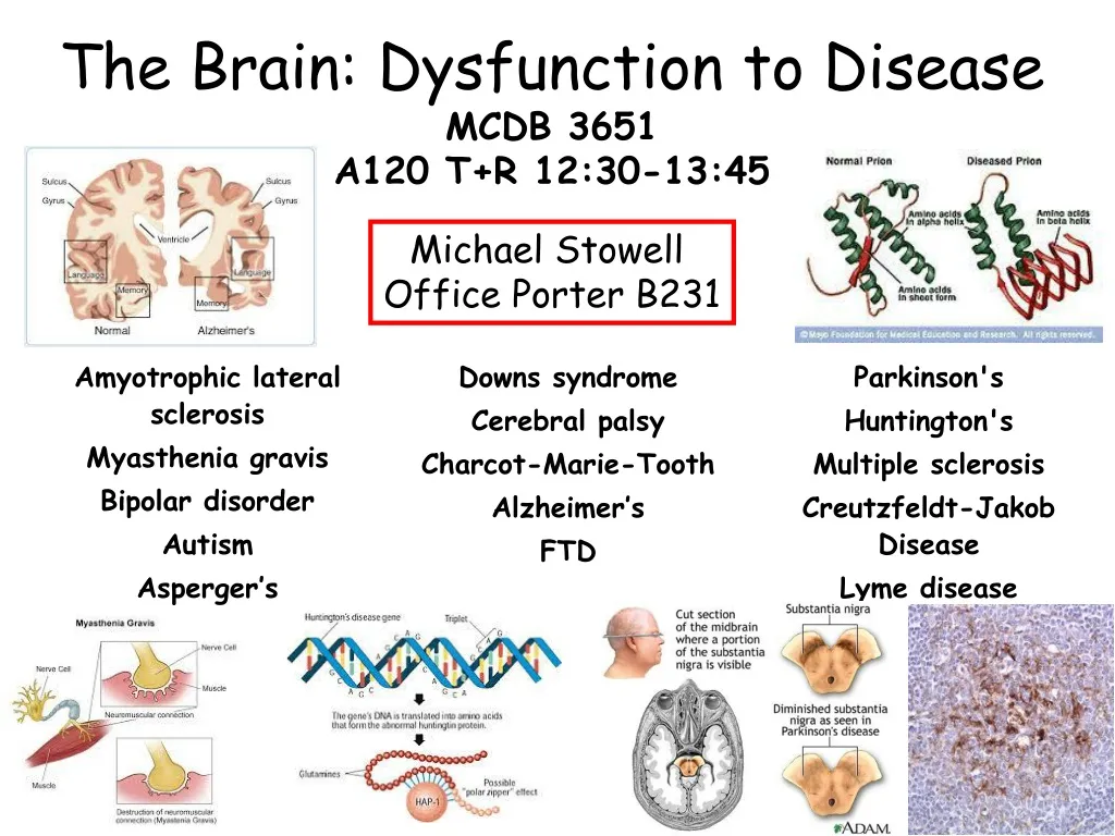 the brain dysfunction to disease mcdb 3651 a120 t r 12 30 13 45