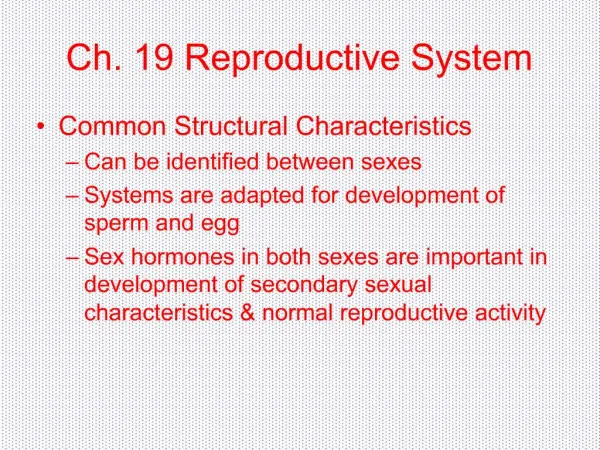 Ch. 19 Reproductive System