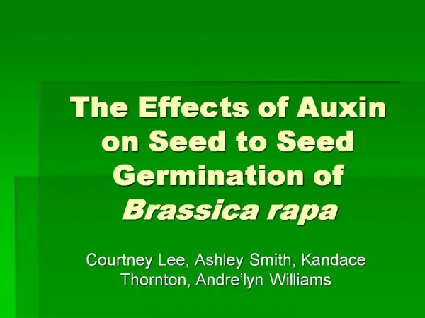 The Effects of Auxin on Seed to Seed Germination of Brassica rapa