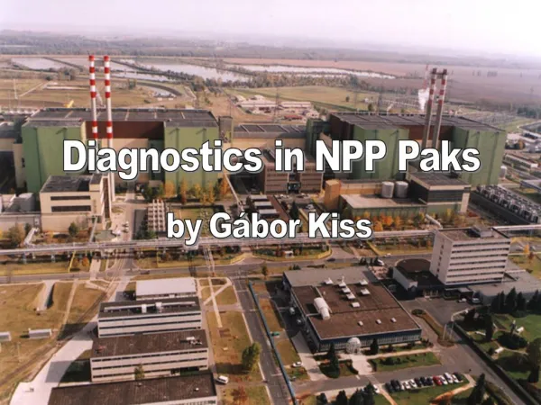 Diagnostics in NPP Paks