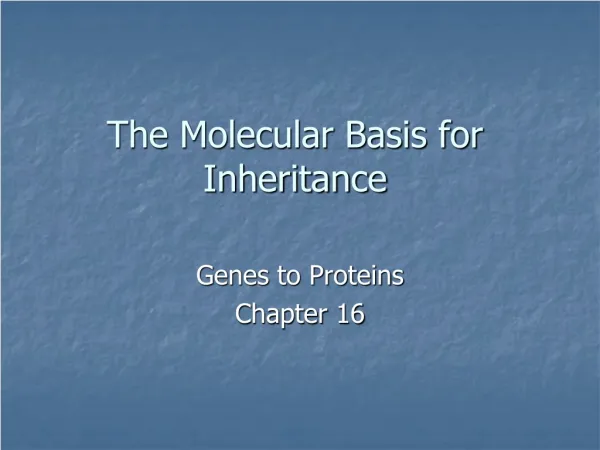 The Molecular Basis for Inheritance