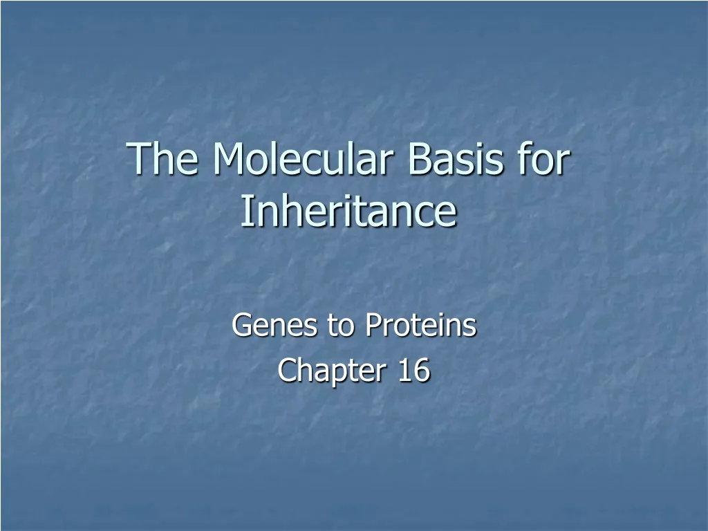 the molecular basis for inheritance