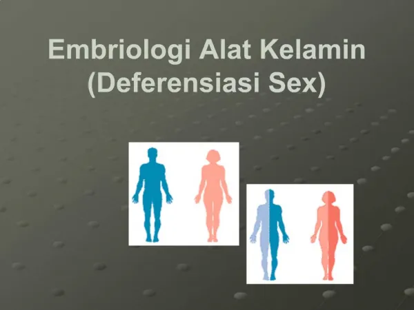 Embriologi Alat Kelamin Deferensiasi Sex