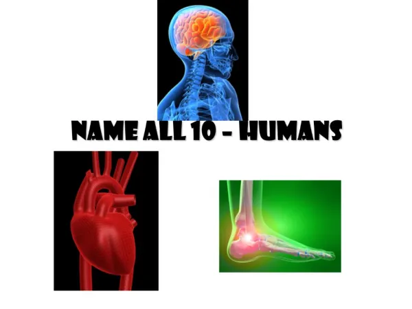 Name all 10 Humans