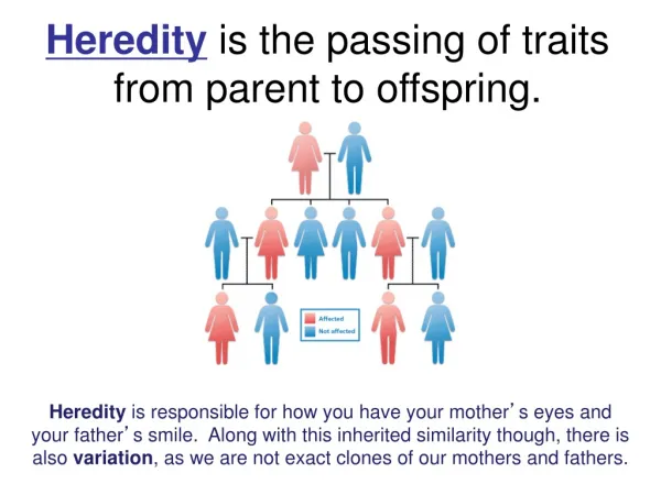 Heredity is the passing of traits from parent to offspring.