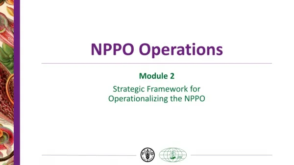 NPPO Operations