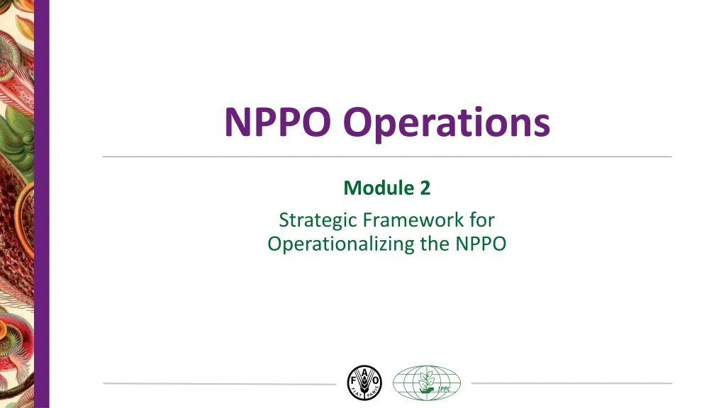 nppo operations