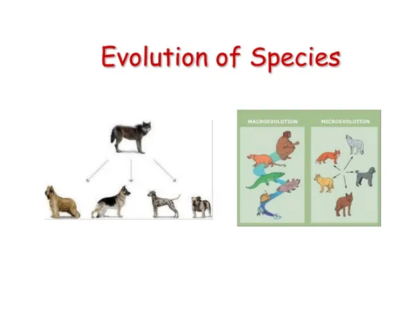 E volution of Species