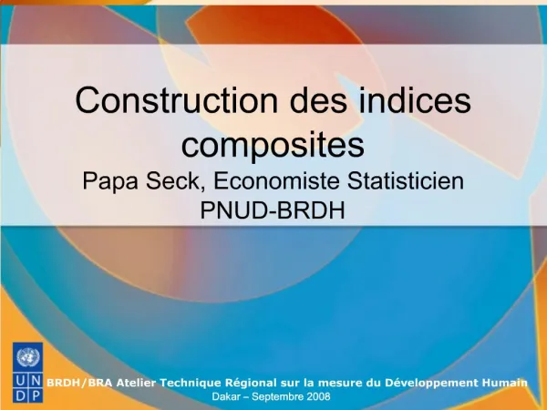 Construction des indices composites Papa Seck, Economiste Statisticien PNUD-BRDH