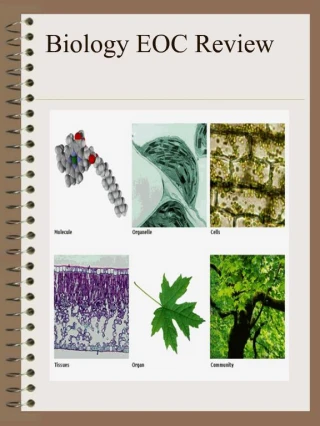 Biology EOC Review - slide 1