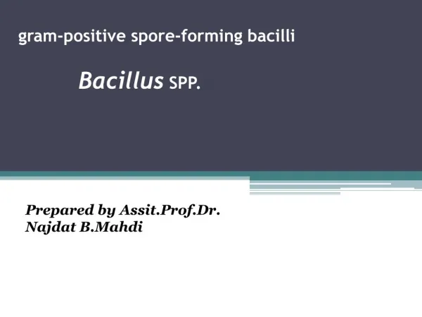 gram-positive spore-forming bacilli SPP. Bacillus