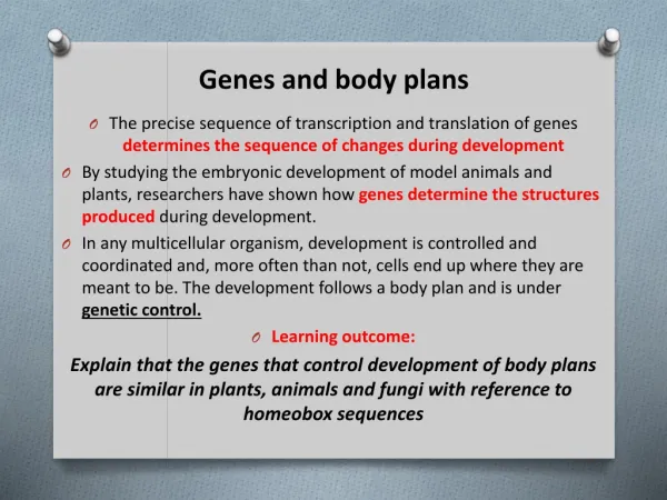 Genes and body plans