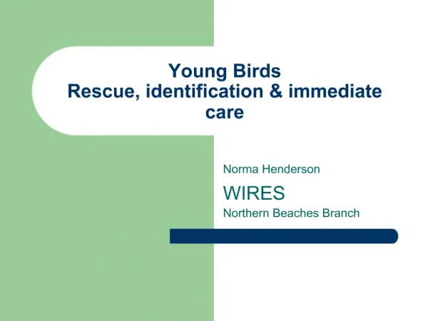 Young Birds Rescue, identification immediate care