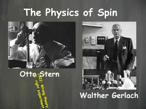 The Physics of Spin