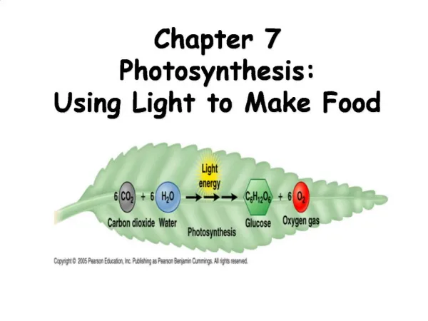 Chapter 7 Photosynthesis: Using Light to Make Food