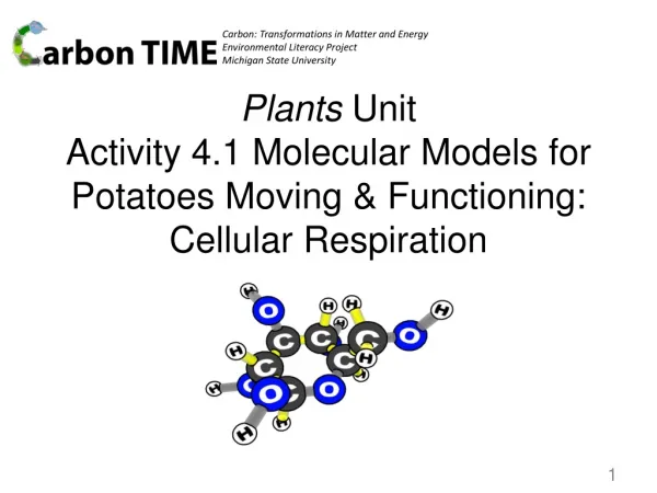 Plants Unit Activity 4.1 Molecular Models for Potatoes Moving &amp; Functioning: Cellular Respiration