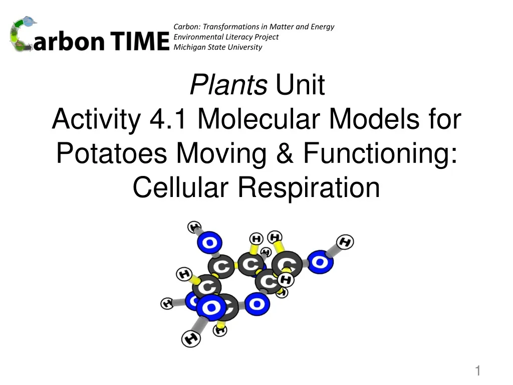plants unit activity 4 1 molecular models for potatoes moving functioning cellular respiration