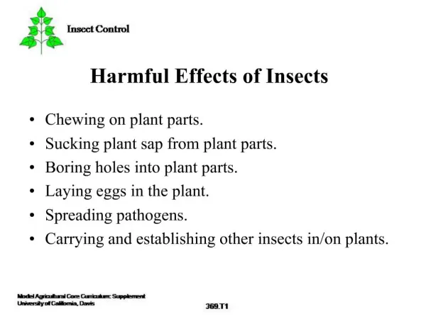 Harmful Effects of Insects