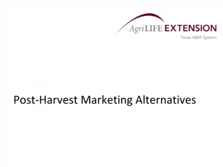 Post-Harvest Marketing Alternatives