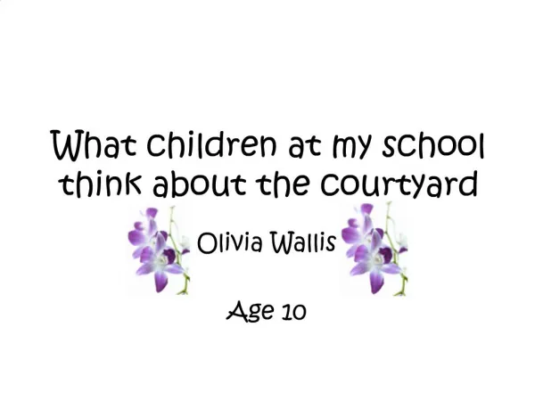 What children at my school think about the courtyard