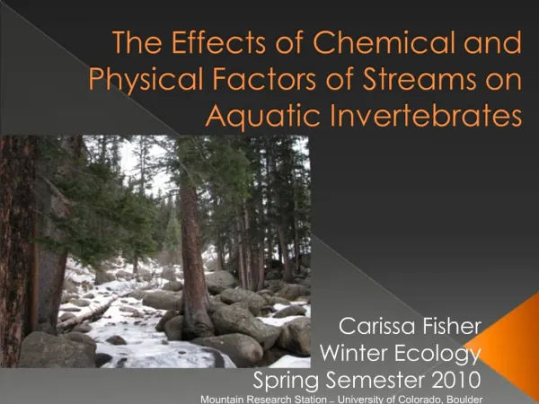 The Effects of Chemical and Physical Factors of Streams on Aquatic Invertebrates