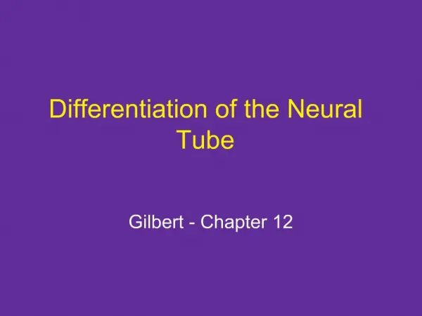 Differentiation of the Neural Tube