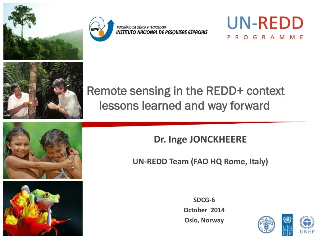 remote sensing in the redd context lessons learned and way forward