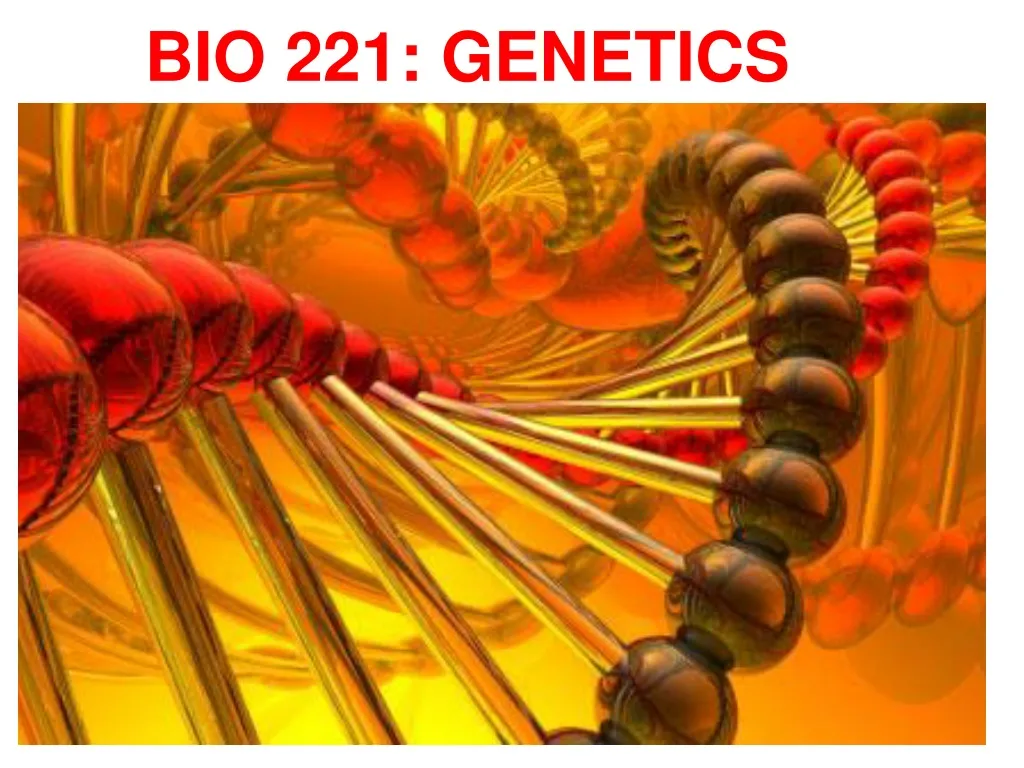 bio 221 genetics