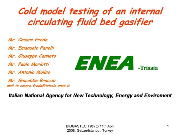 Cold model testing of an internal circulating fluid bed gasifier