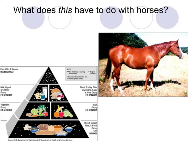 What does this have to do with horses