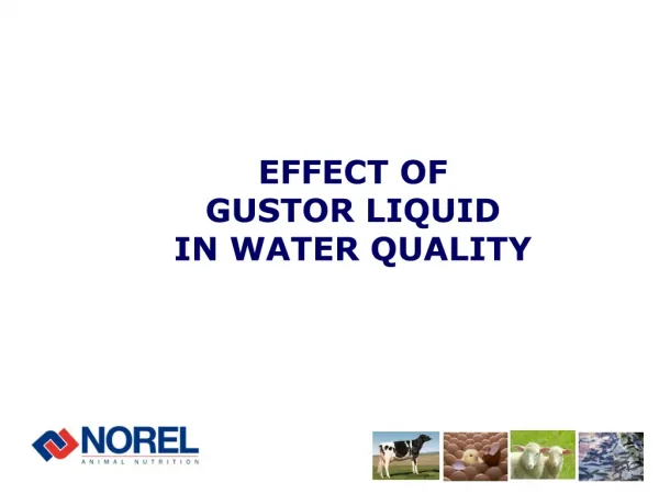 EFFECT OF GUSTOR LIQUID IN WATER QUALITY