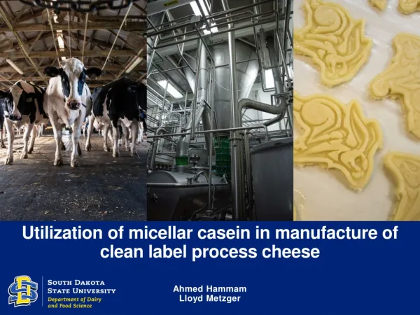 Utilization of micellar casein in manufacture of clean label process cheese