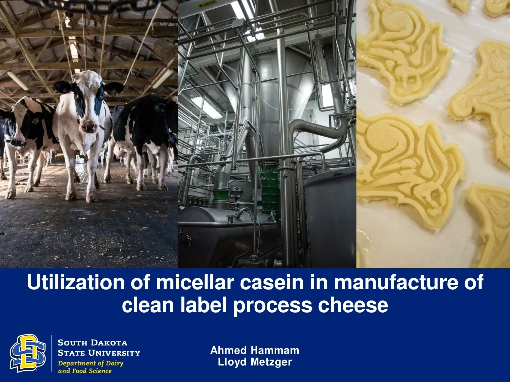 utilization of micellar casein in manufacture of clean label process cheese