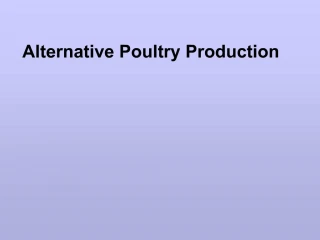 Alternative Poultry Production - slide 1