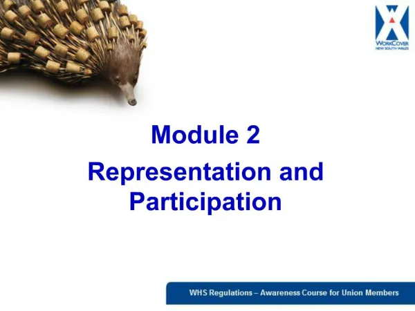 Module 2 Representation and Participation