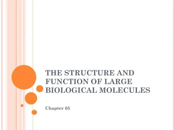 THE STRUCTURE AND FUNCTION OF LARGE BIOLOGICAL MOLECULES