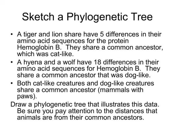 Sketch a Phylogenetic Tree
