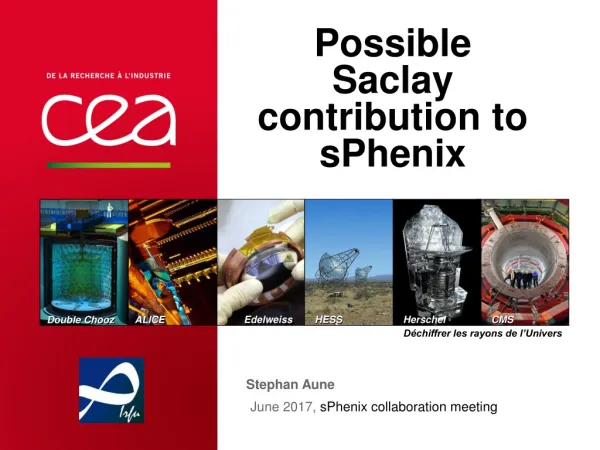 Possible Saclay contribution to sPhenix