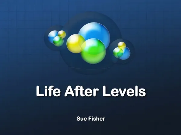 Life After Levels