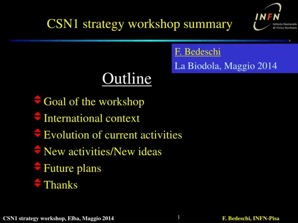 CSN1 strategy workshop summary