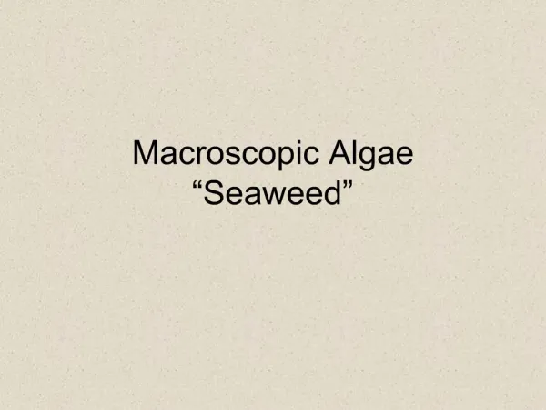 Macroscopic Algae Seaweed