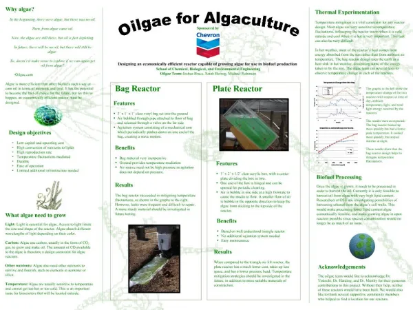 Oilgae for Algaculture