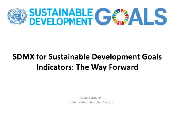SDMX for Sustainable Development Goals Indicators: The Way Forward