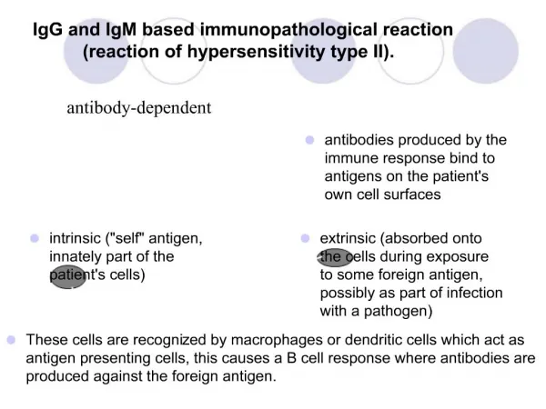 IgG and IgM based immunopathological reaction reaction of hypersensitivity type II.