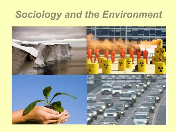 Sociology and the Environment