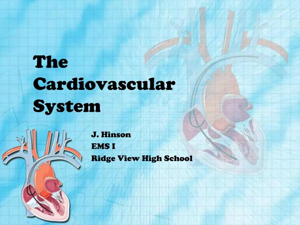 cardiovascular system assignment slideshare