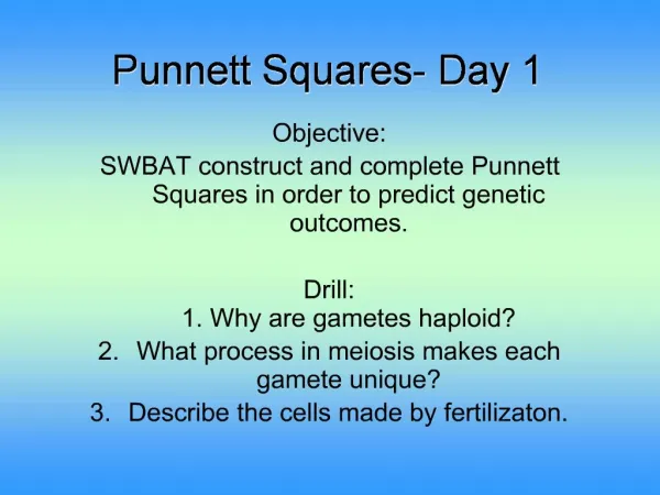 Punnett Squares- Day 1