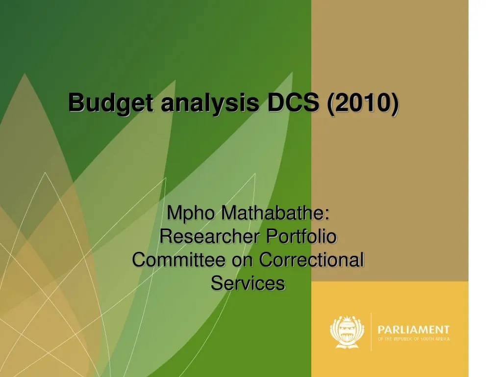 budget analysis dcs 2010