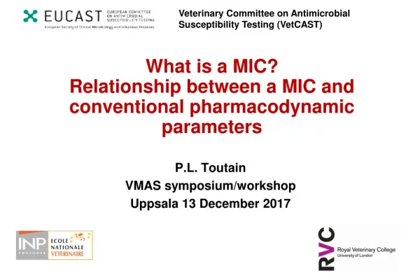 What is a MIC ? Relationship between a MIC and conventional pharmacodynamic parameters