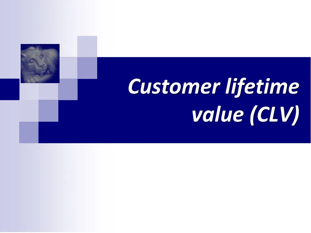 customer lifetime value clv
